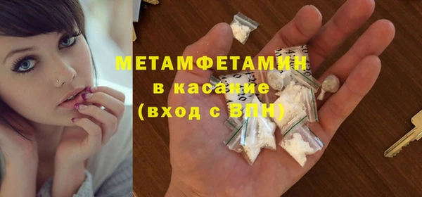 шишки Новодвинск