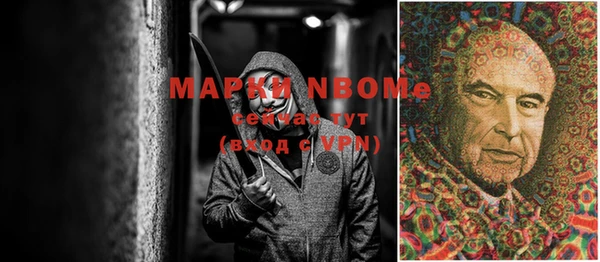 шишки Новодвинск