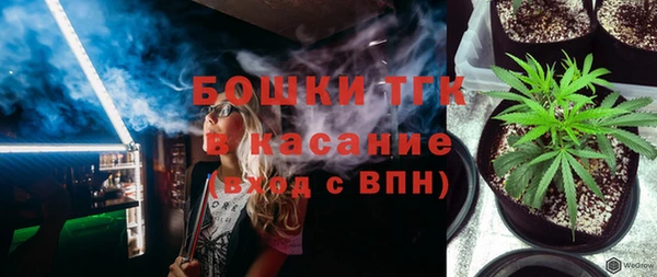 СК Новозыбков
