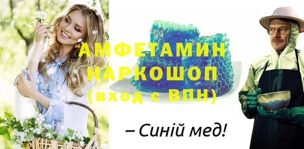 шишки Новодвинск