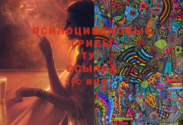 СК Новозыбков