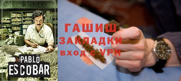 шишки Новодвинск