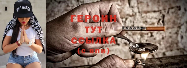СК Новозыбков