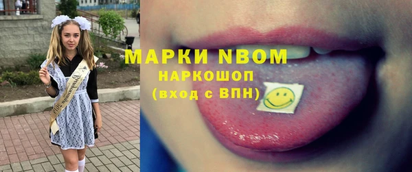 СК Новозыбков