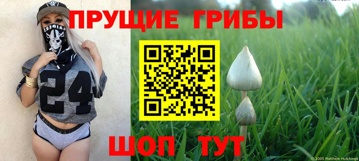 Галлюциногенные грибы мицелий  Псилоцибиновые грибы Cubensis  Вход с VPN  Нарьян-Мар 