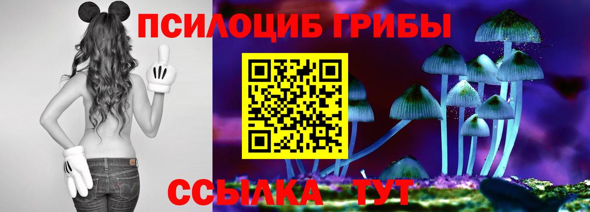 Галлюциногенные грибы мухоморы Нарьян-Мар